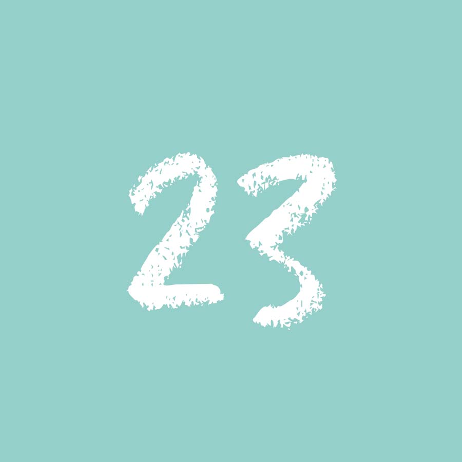 23
